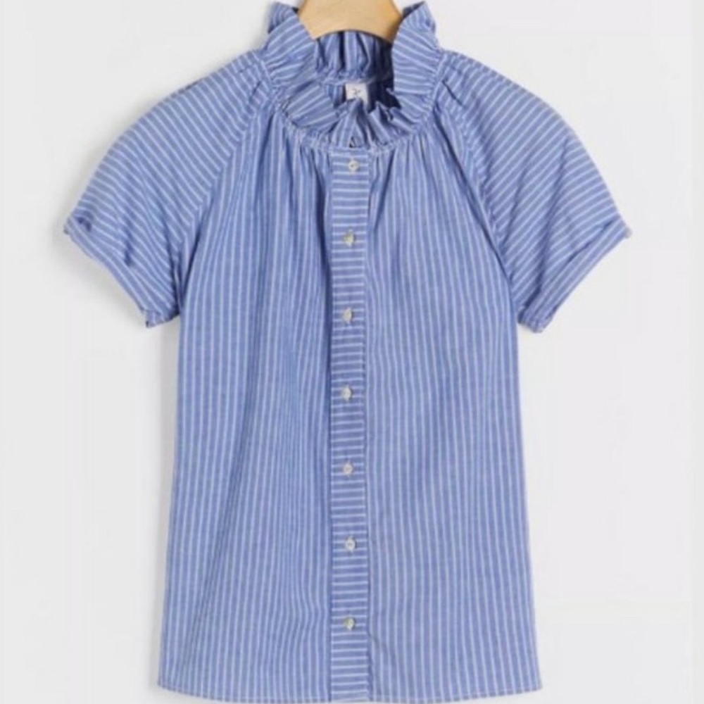 NWT Anthropologie Amadi Tansey Ruffled Button Down sz. Large
